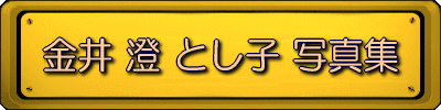 ���� �� �Ƃ��q �ʐ^�W 