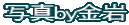 写真by金岩