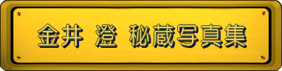  ���� �� �鑠�ʐ^�W 