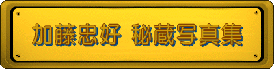  �������D �鑠�ʐ^�W 