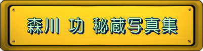  �X�� �� �鑠�ʐ^�W