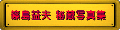 ���v�v �鑠�ʐ^�W