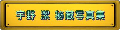  �F�� �� �鑠�ʐ^�W 